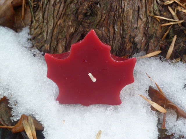 Maple Leaf - Cranberry(Red)