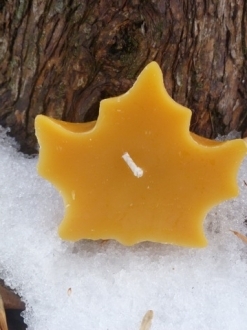 Beeswax 2″ x 3″ Maple Leaf Candle Case – 4 units (ML)