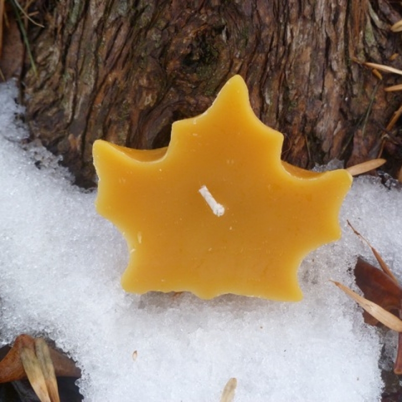 Maple Leaf – Natural(Golden)